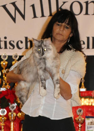 Pennello Cherin