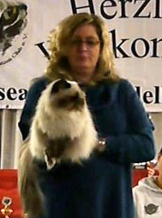 Ch. First Lady vom Bremer Rennplatz